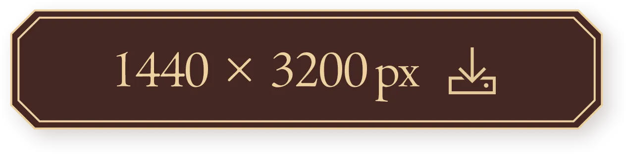 1440 × 3200 px    download