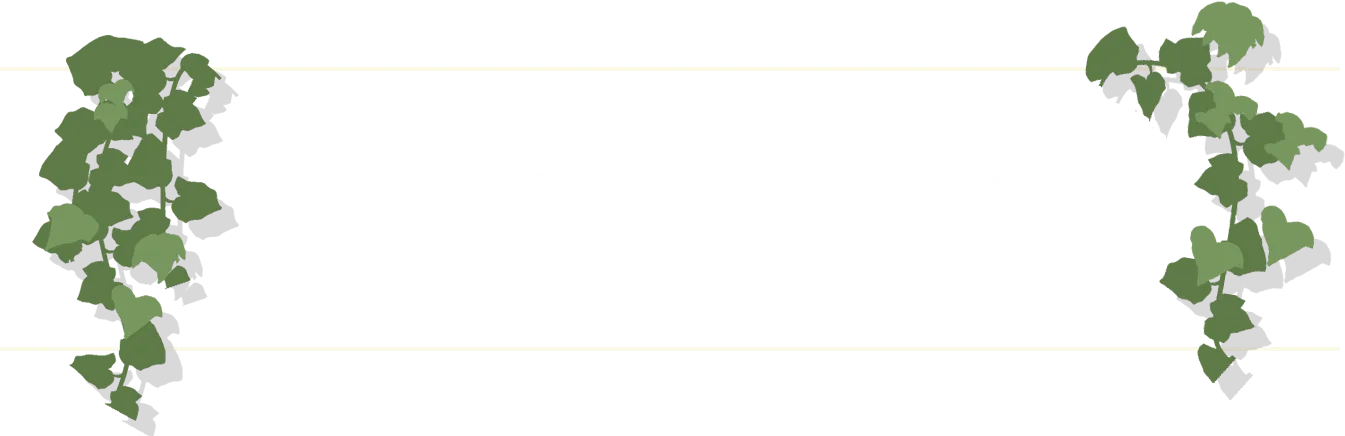 詳細は各ショップのスカウト紹介にて！