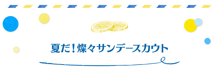2024 テーマ スカウト idol 15個 おまけ付き 夏休みはあんスタ！！キャンペーン2024｜あんさんぶるスターズ！！